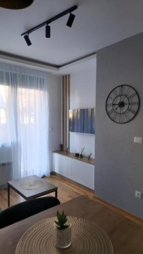 Kosta's apartment Titova Vila